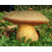 Мицелий Дубовика оливково-бурого (Boletus luridus) Мицелий Дубовика оливково-бурого (Boletus luridus)